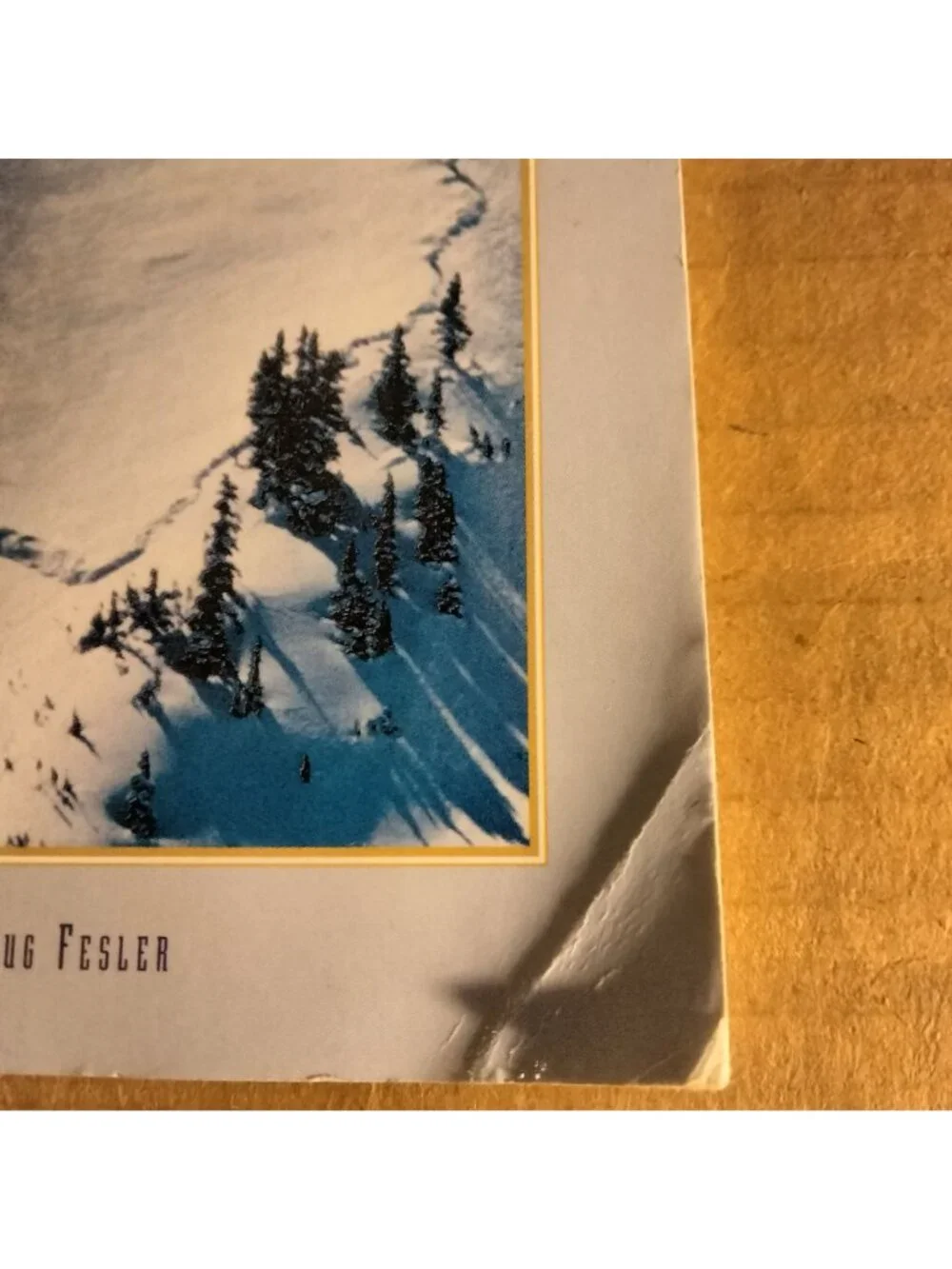 Snow Sense A Guide to Evaluating Snow Avalanche Hazard Fredston Fesler Alaska